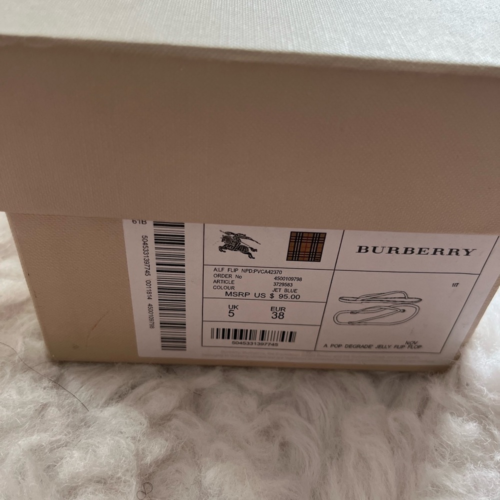 Burberry flip flops